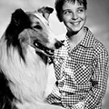 Tommy Rettig