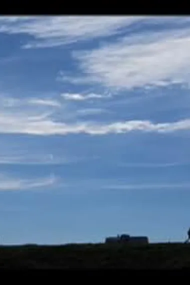 史蒂夫·伦纳德