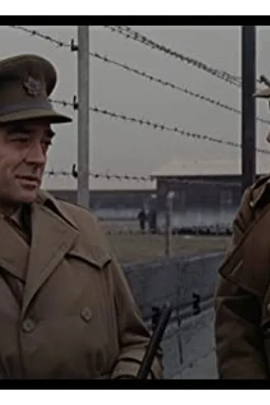 雷利亚·巴希奇