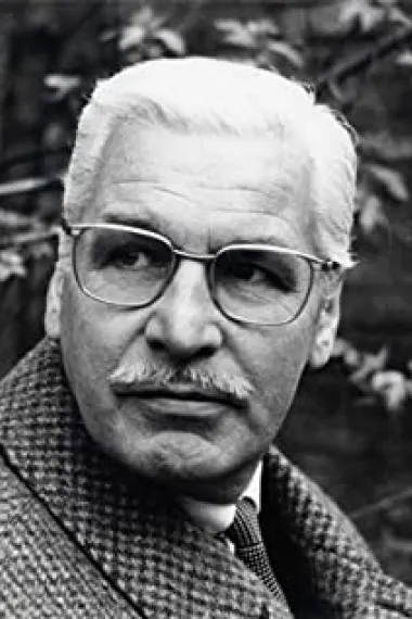 弗里德里·希肖恩菲