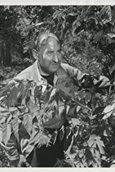 阿诺德·戴蒙德