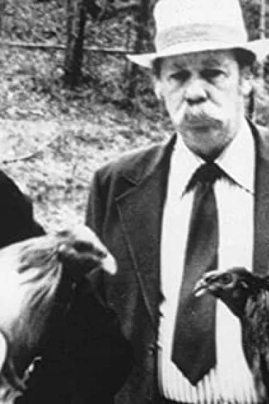 查尔斯·威尔福特