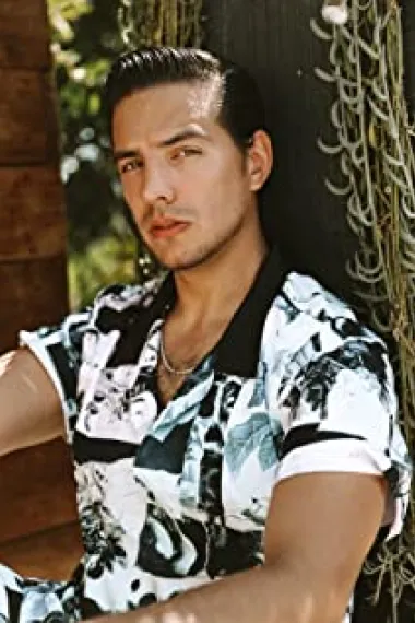 瓦迪尔·德尔贝斯