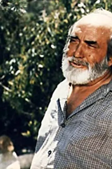 安东尼奥·费兰迪斯