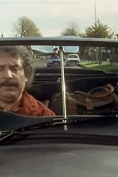 迈克尔·安杰利斯