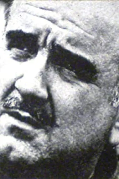 费尔南多·阿亚拉