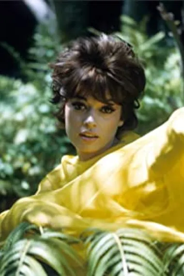 弗兰·杰弗里斯