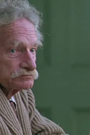 席格法瑞特斯坦纳