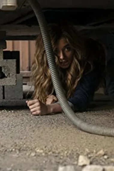 乔琪亚·惠格姆