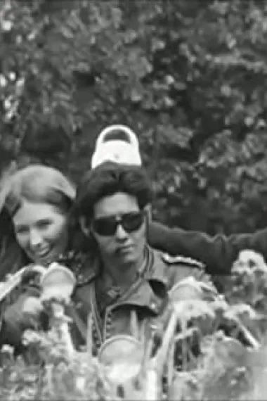 丹妮尔·维梅特