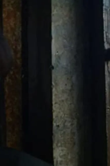 查利·斯普拉德林