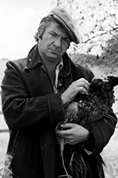 迈克尔·埃尔菲克