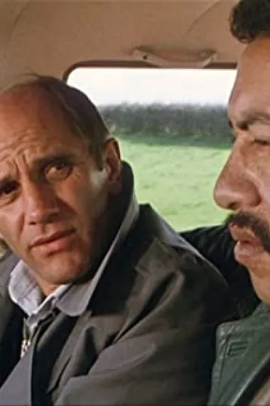 艾莉森·劳特利奇