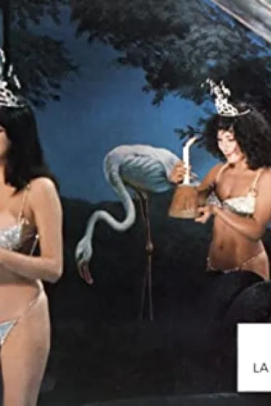 多娜泰拉·达米亚妮