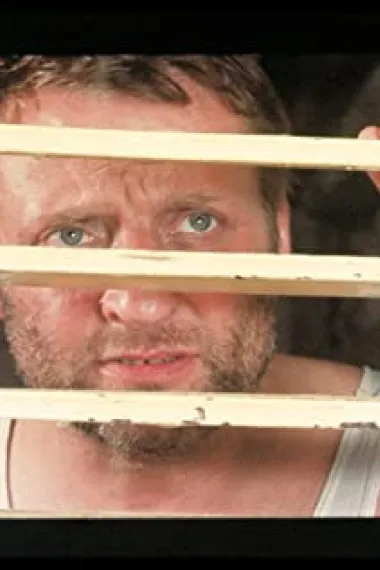 布律诺·克雷梅