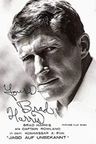 布莱德·哈里斯