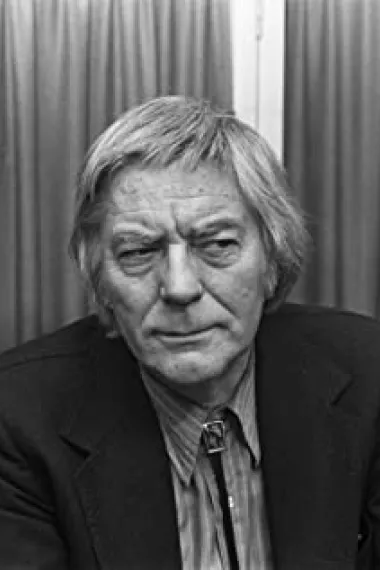 伯特·汉斯特若