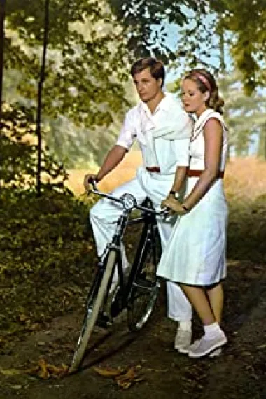 里诺·卡波利奇奥