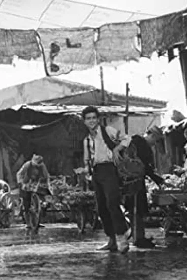 斯塔西斯·加埃里斯