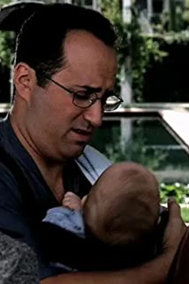 米歇尔·维特菲尔德