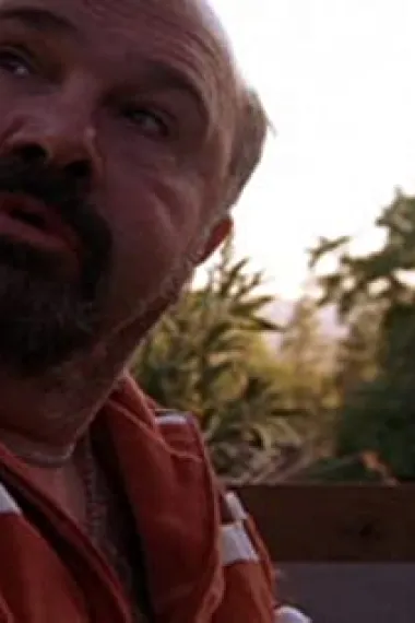 罗伯特·康斯坦佐