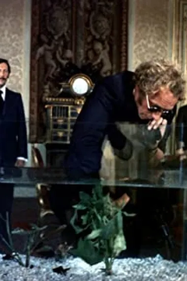 米歇尔·迪绍苏瓦