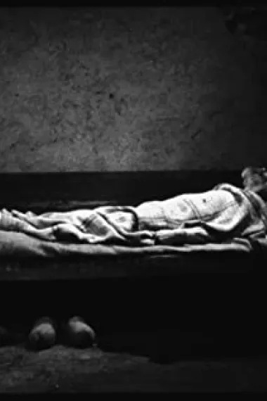 亚诺什·德尔日