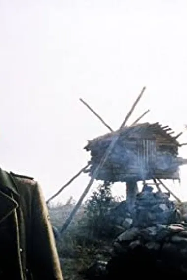 威勒·哈派塞罗