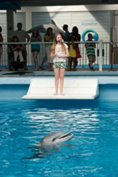 科齐·齐尔斯多夫