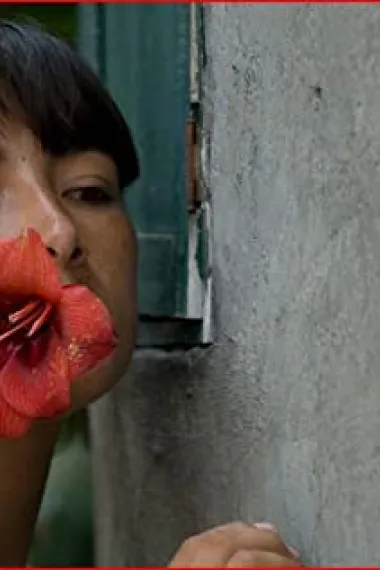 玛佳丽·索利埃