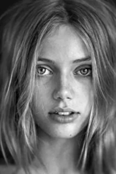 格瑞思·范·迪恩