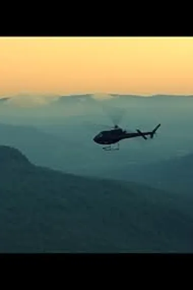 费拉斯·迪拉尼