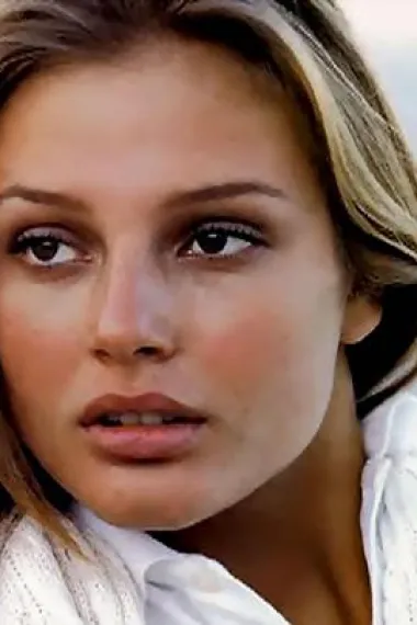 布里姬特·豪尔