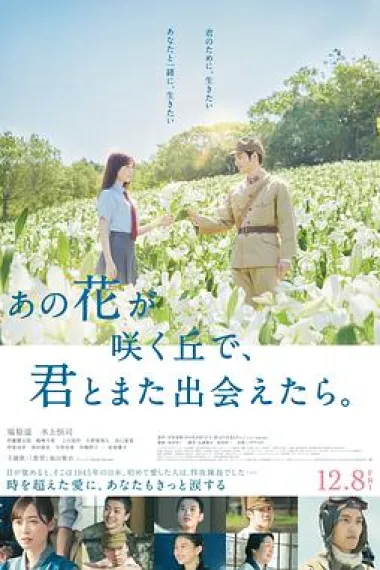 与你再遇鲜花盛开之丘 下载