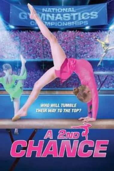 第二次机会 下载
