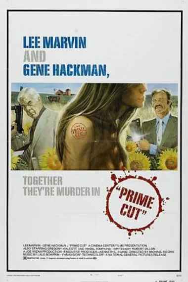 双龙大火拼 2160P 4K 杜比视界 下载