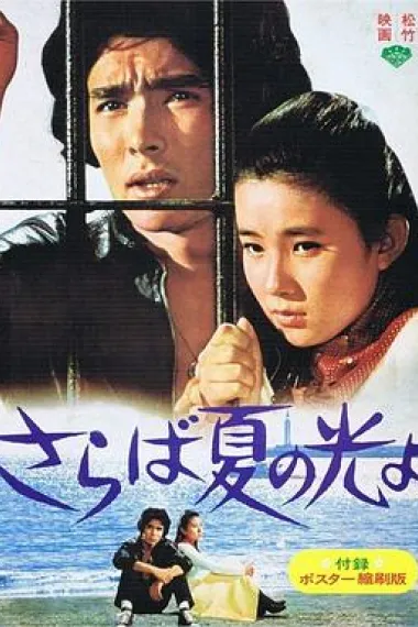 再见，夏日之光 下载