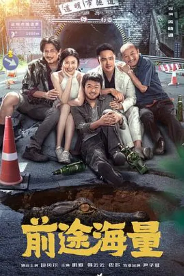 前途海量 2160P 4K 杜比视界 下载