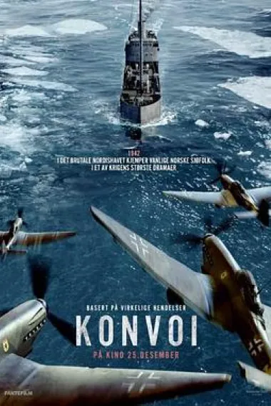 护航 2160P 4K 下载