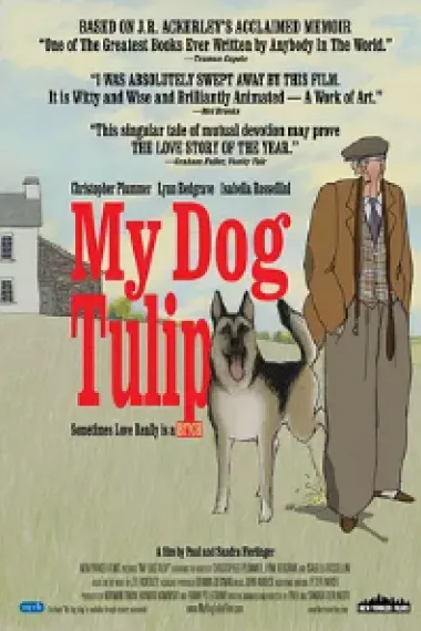 牧羊犬郁金香 下载