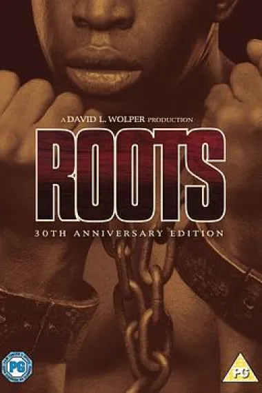 影史巅峰:20部堪称杰作的神级限定剧排行榜