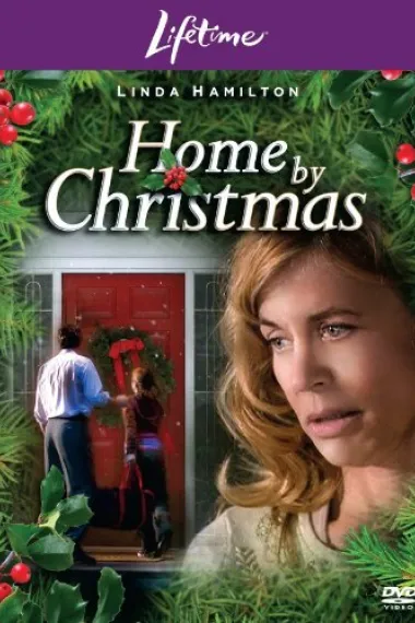 回家过圣诞 下载