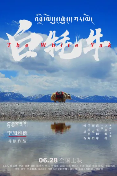 白牦牛 2160P 4K 下载