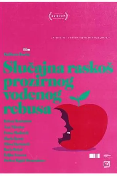 半透明水谜之忽然奢华 下载