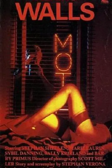 会说话的墙 下载