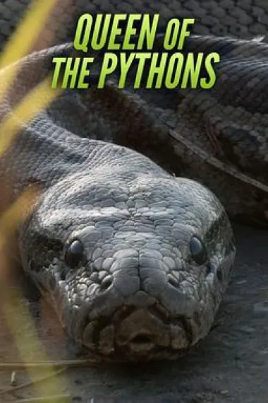 Queen of the Pythons 下载