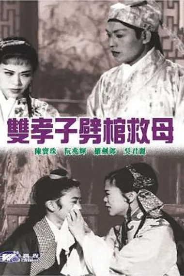 双孝子劈棺救母 下载