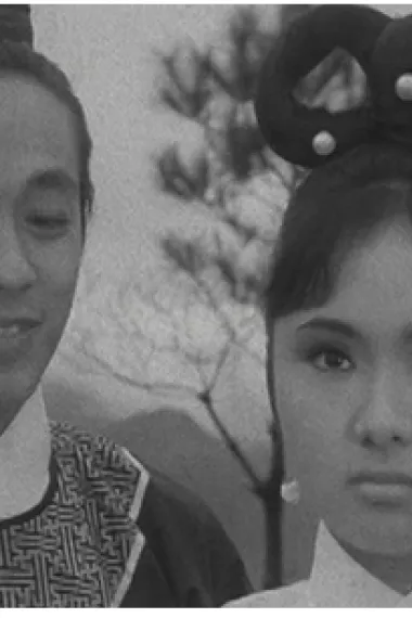 武林三鳳(大結局) 下载