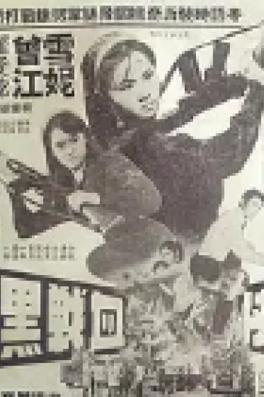 女黑侠血战黑龙党 下载