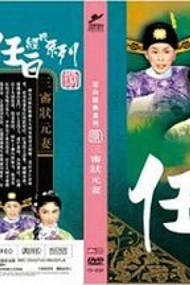 三审状元妻 下载